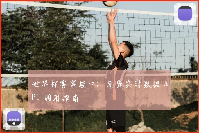 世界杯赛事接口：免费实时数据 API 调用指南