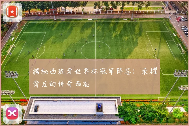 揭秘西班牙世界杯冠军阵容：荣耀背后的传奇面孔