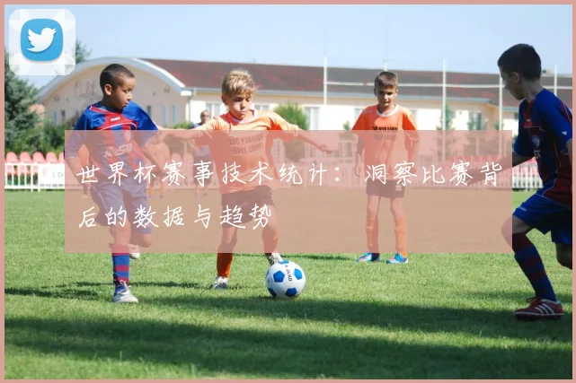 世界杯赛事技术统计：洞察比赛背后的数据与趋势