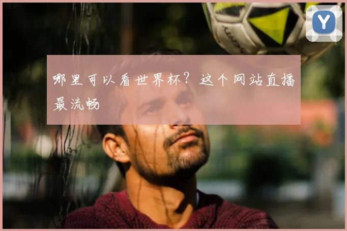 哪里可以看世界杯?这个网站直播最流畅